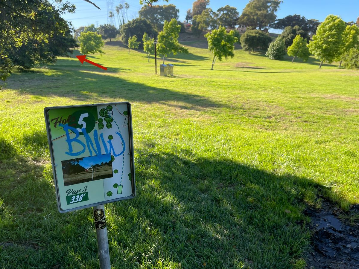 Hole 5 basket not visible from tee.