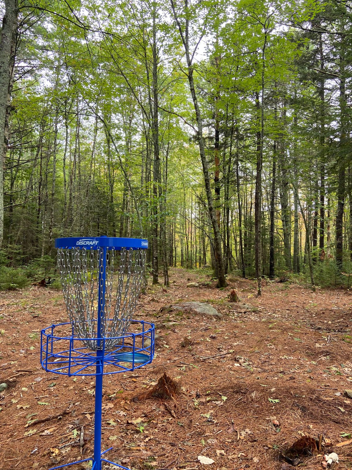 Hole 2