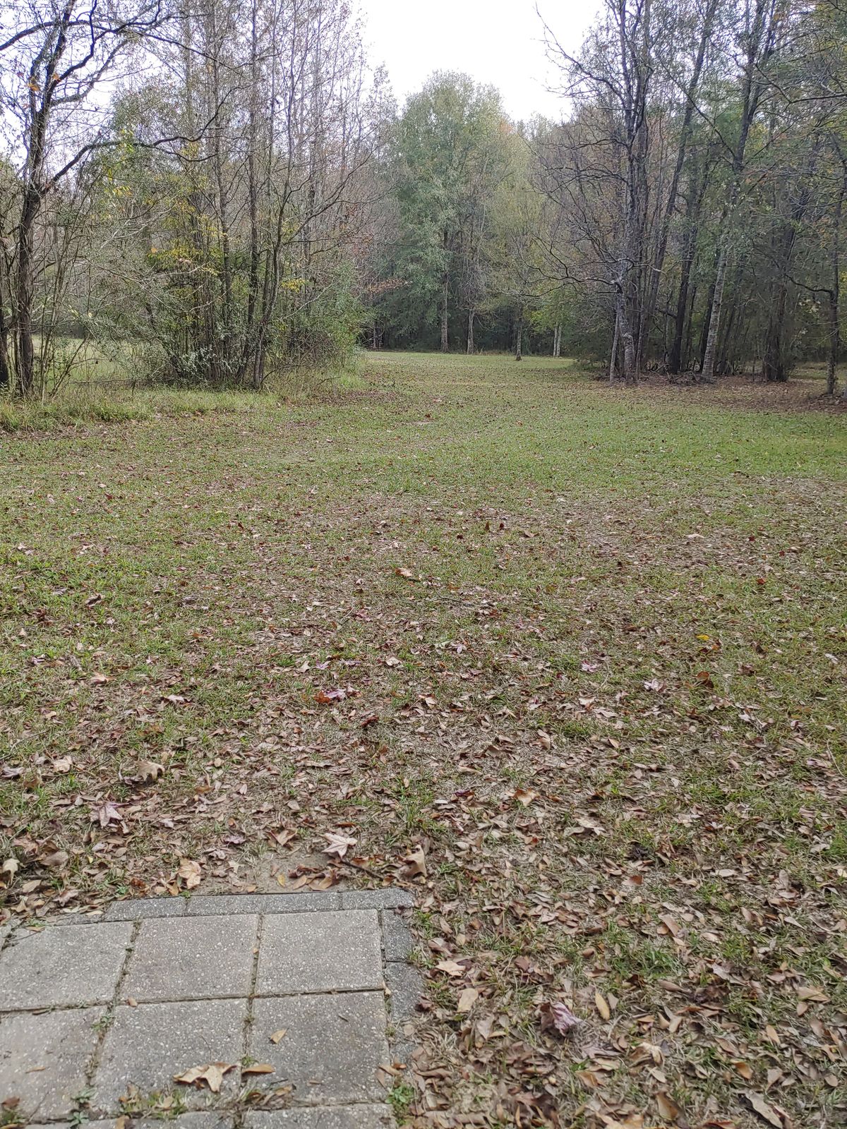 Hole 14 Pro