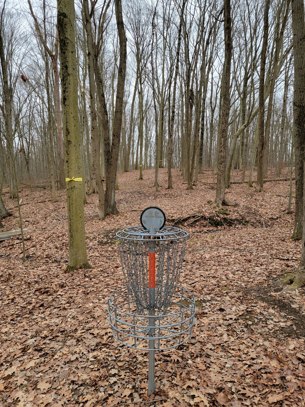 18's green looking back up the fairway