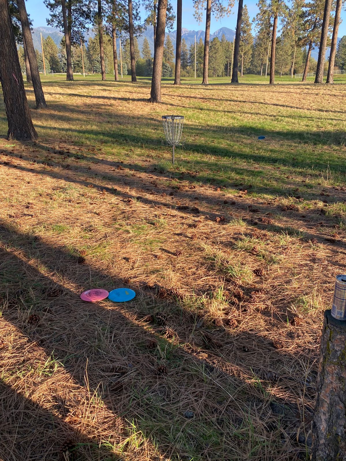 making minis on hole 1