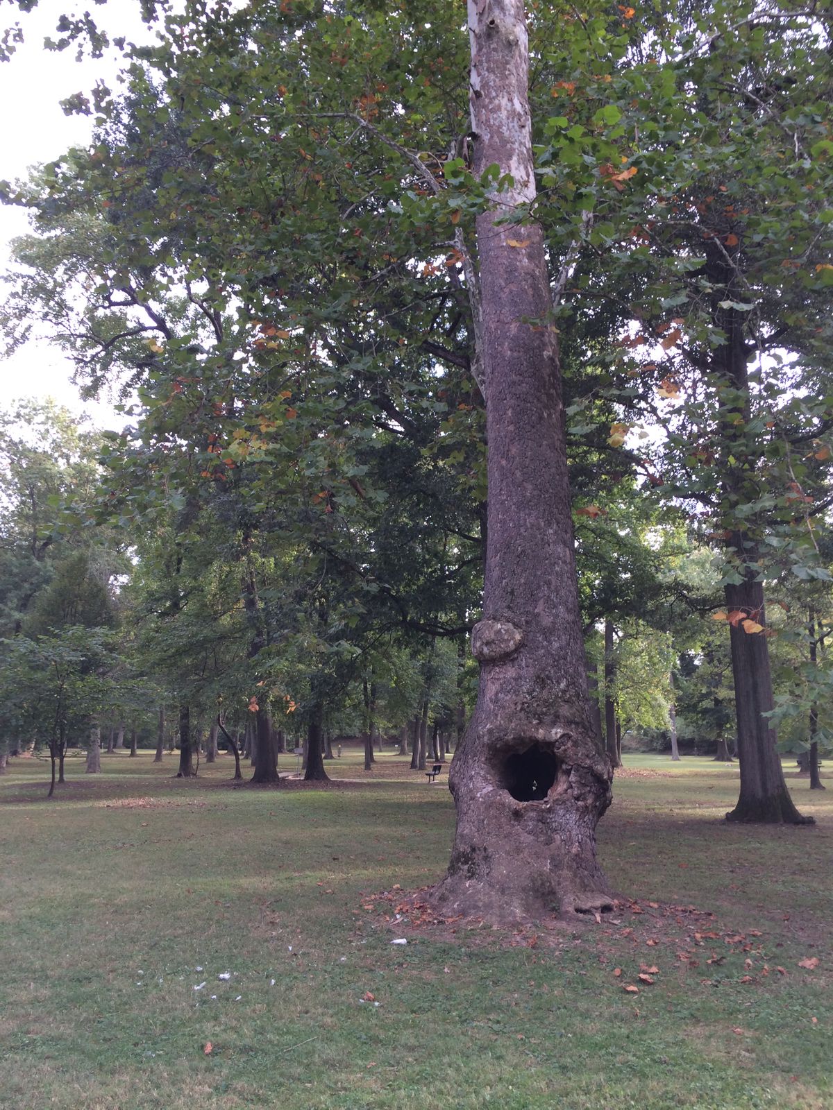 Hole 10