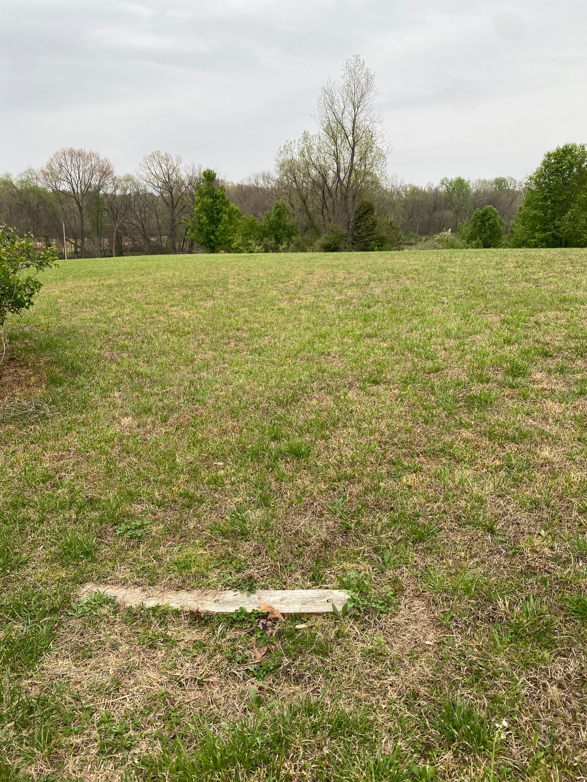 Hole 8 Short Tee