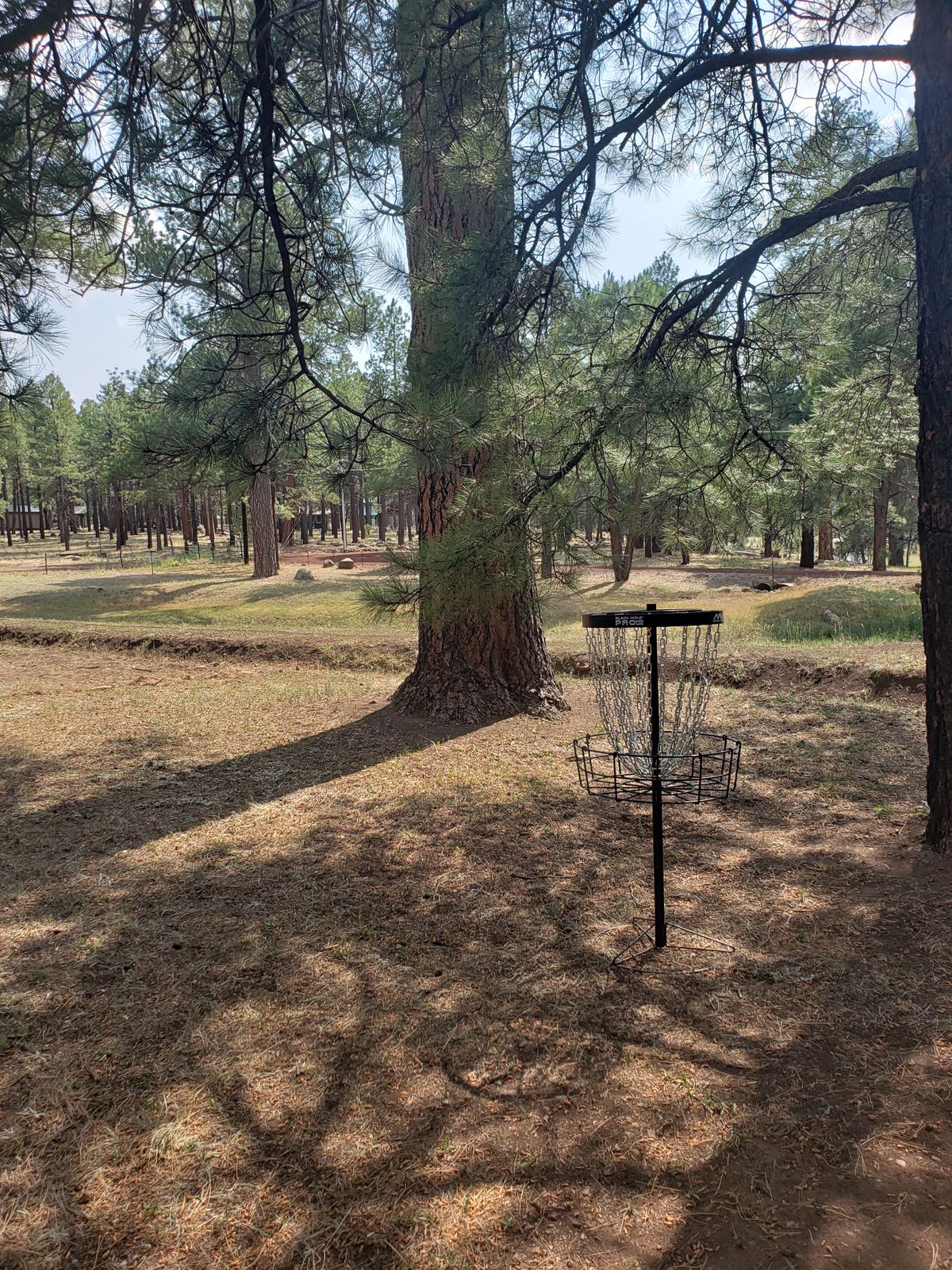 Holes 6 Basket looking toward 6s Tee