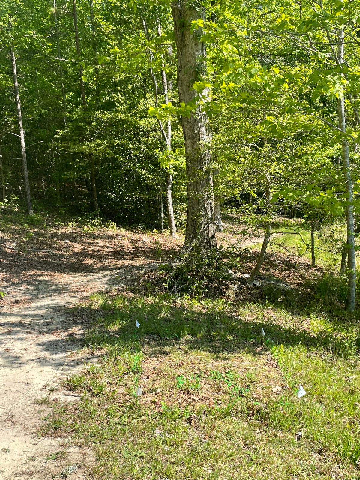 Hole 1, “short” teebox, go to the bridge to the right of Hole 1 “long”, turn left.