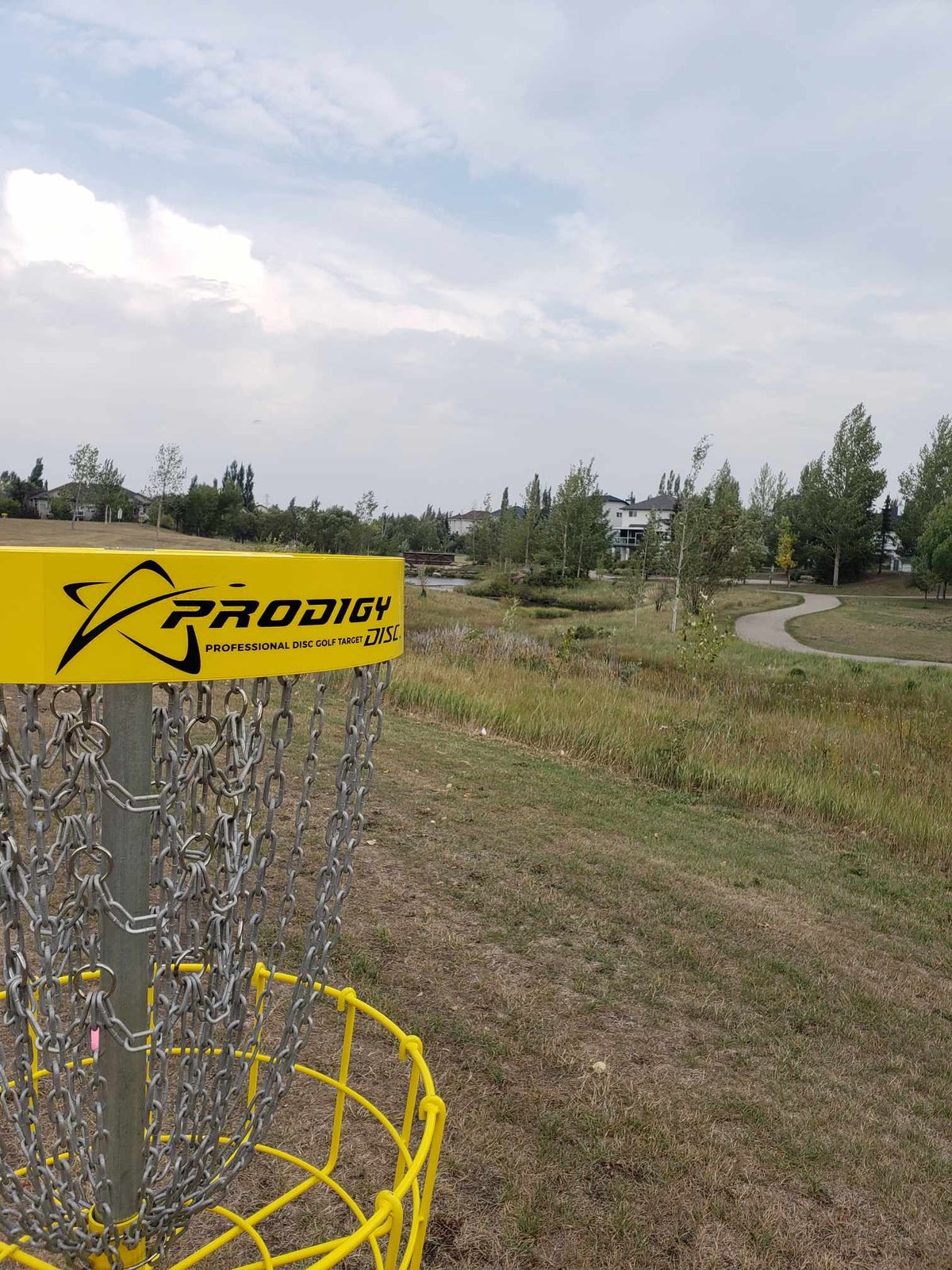 Hole 5 Basket up close
