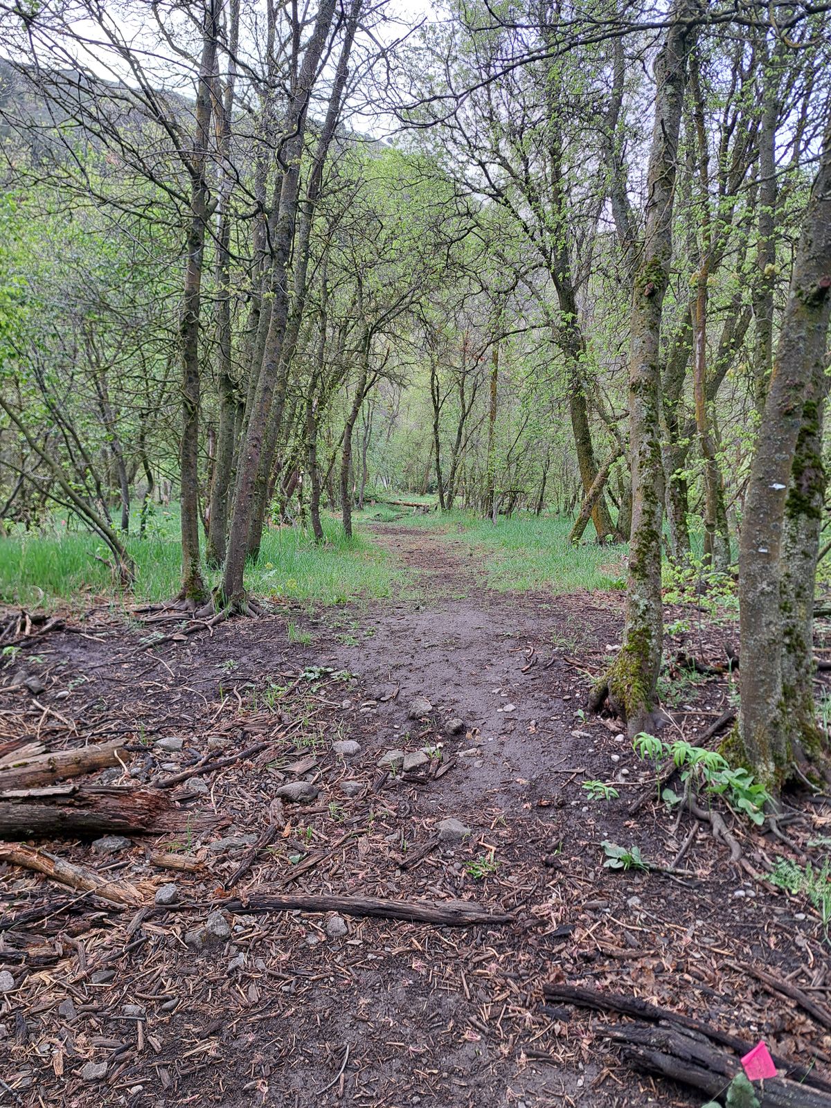 3 long fairway