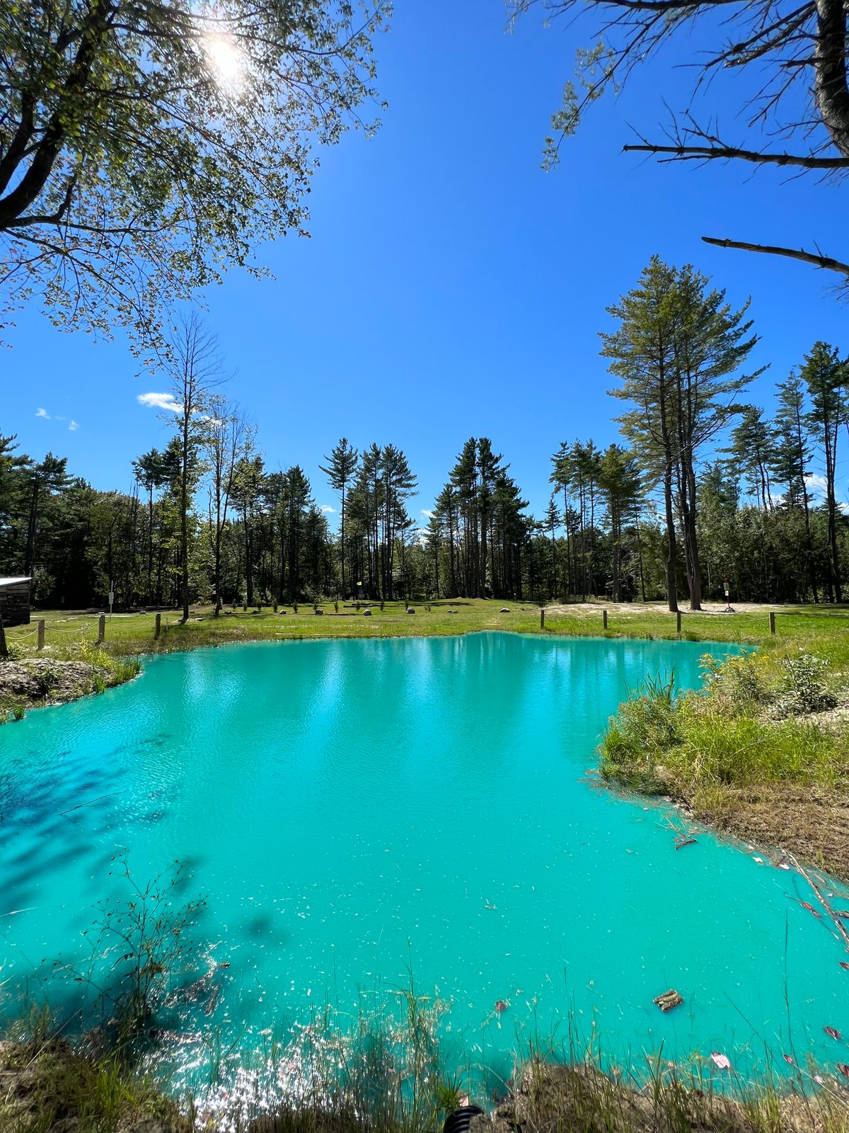Pond on 5/6