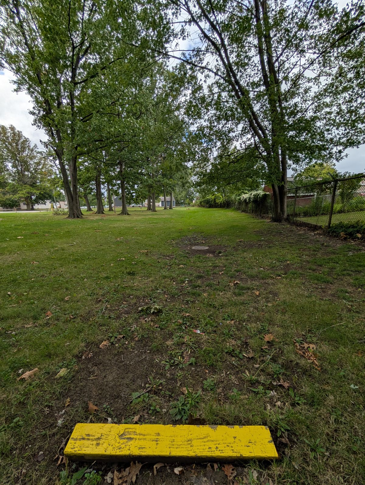 #5 tee