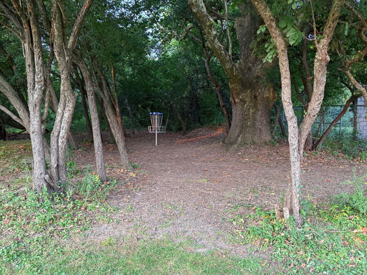 Hole 10 Green