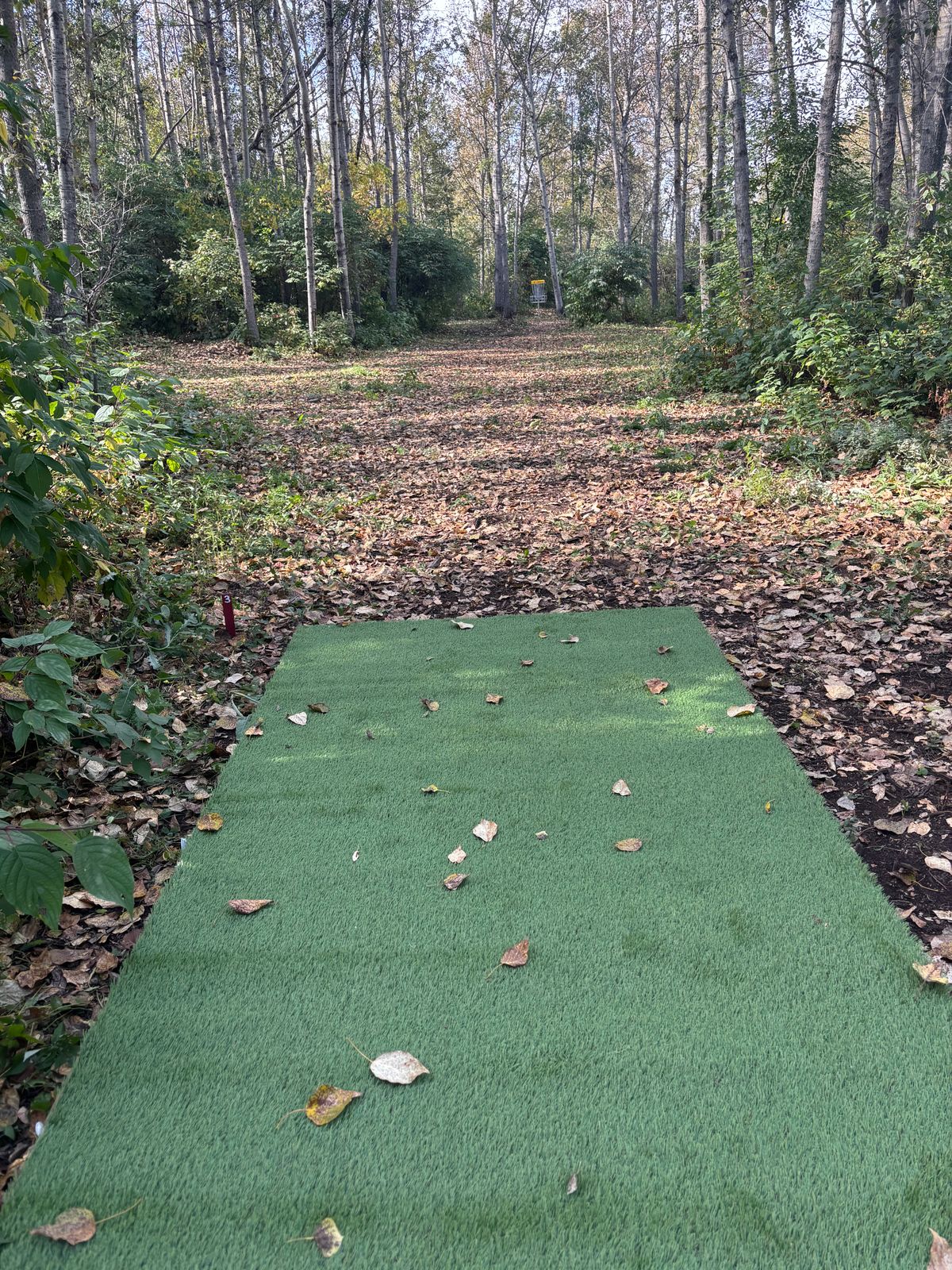 Hole 3 Red Teepad