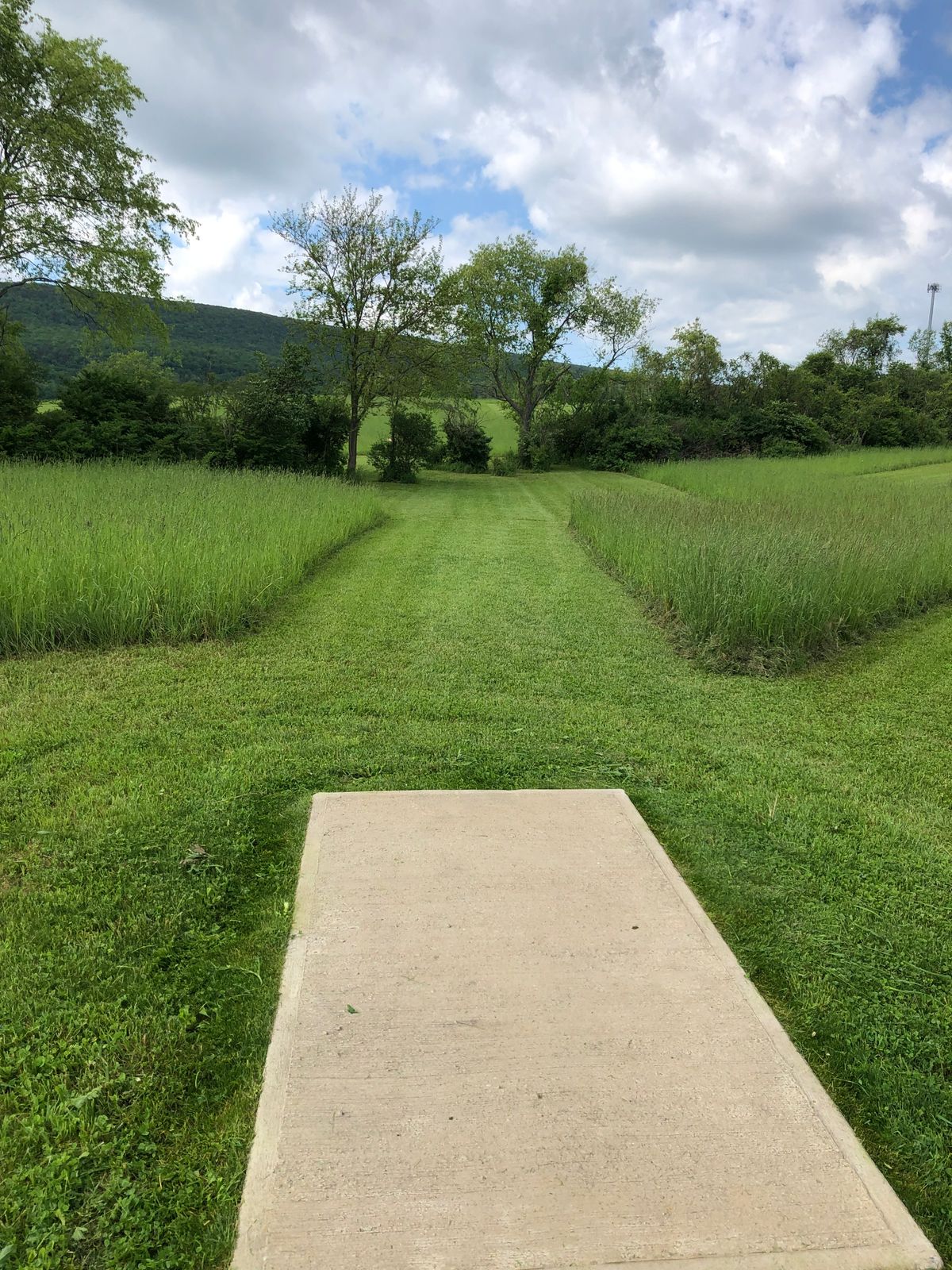Hole 3 tee