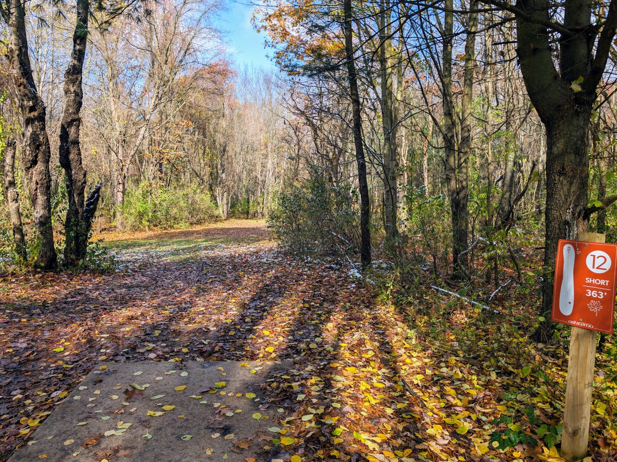 Hole 12 short tee