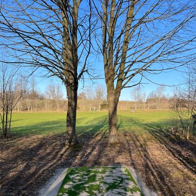Hole 3 tee, don’t hit the trees.