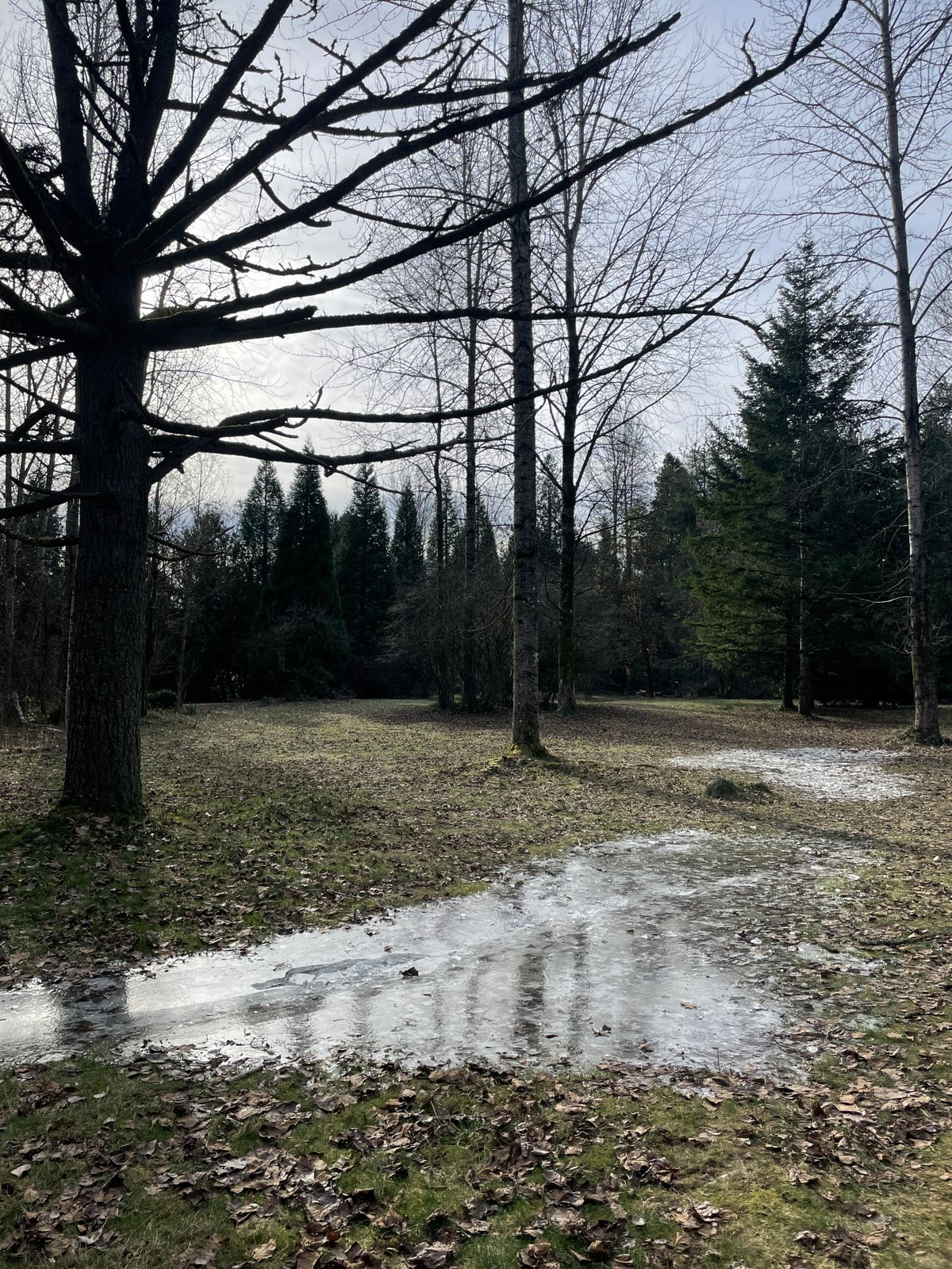 Hole 22