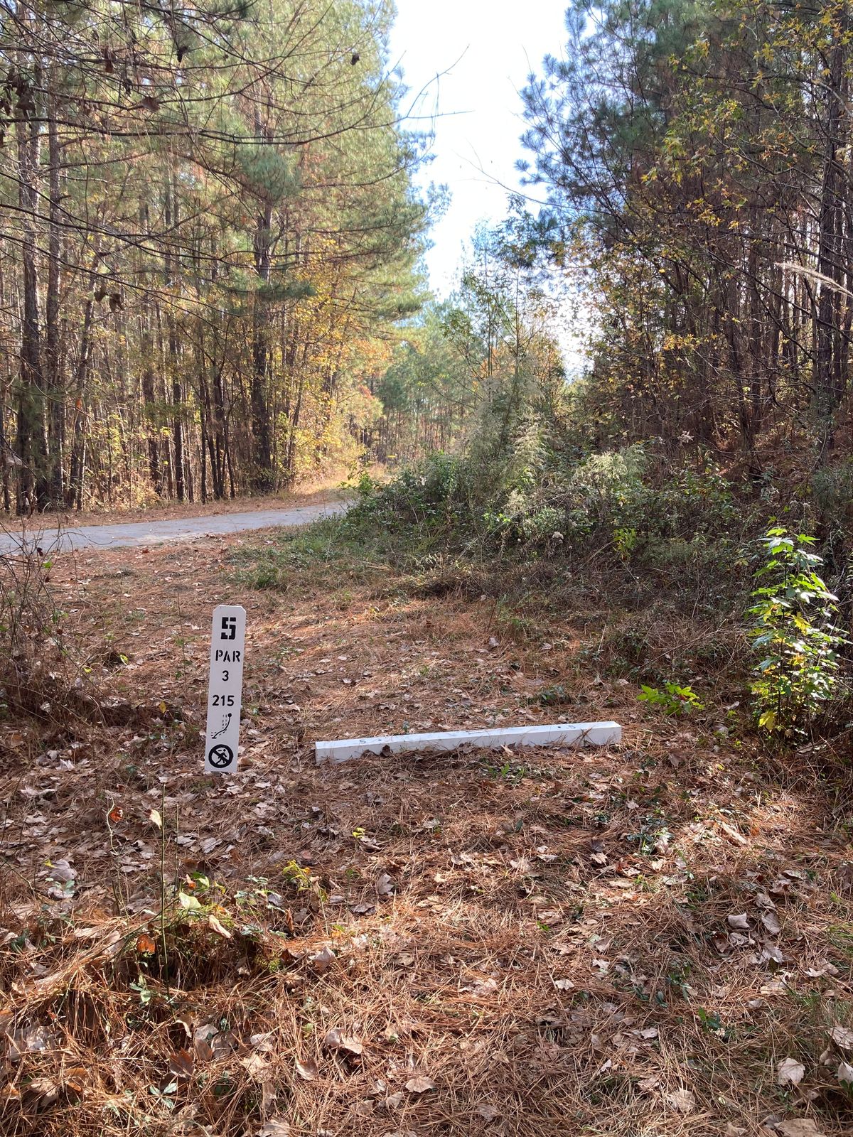 Hole 5, Tee Box, 215’ Slight Right Bend, watch for walkers on the path.