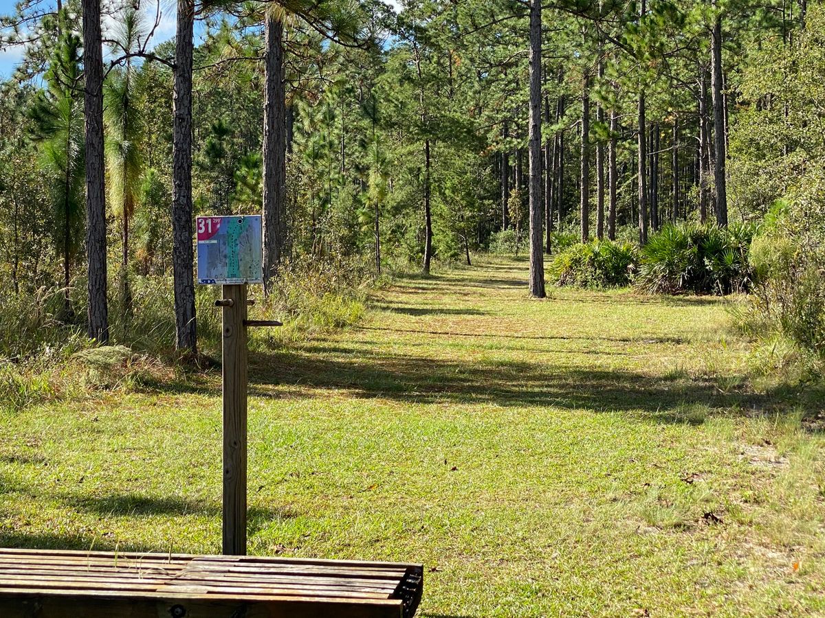 Hole 31 fairway