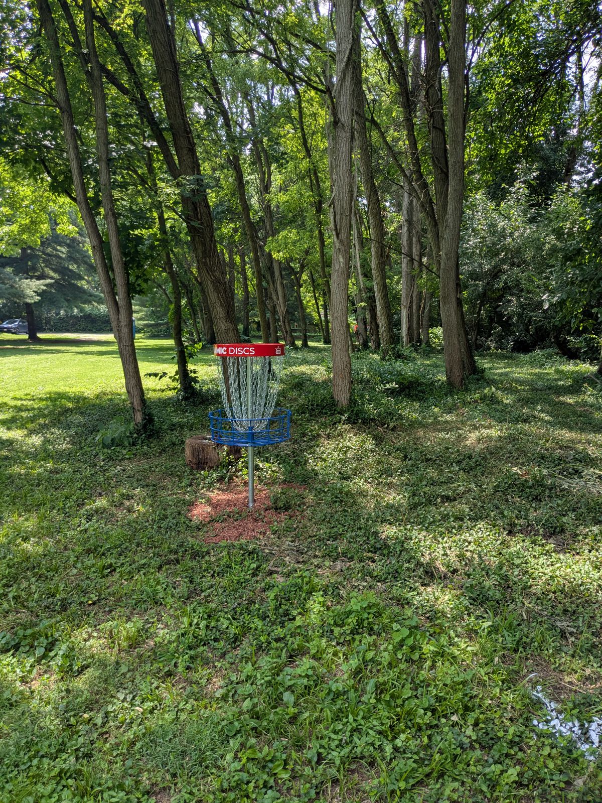 #1 Basket to Tee