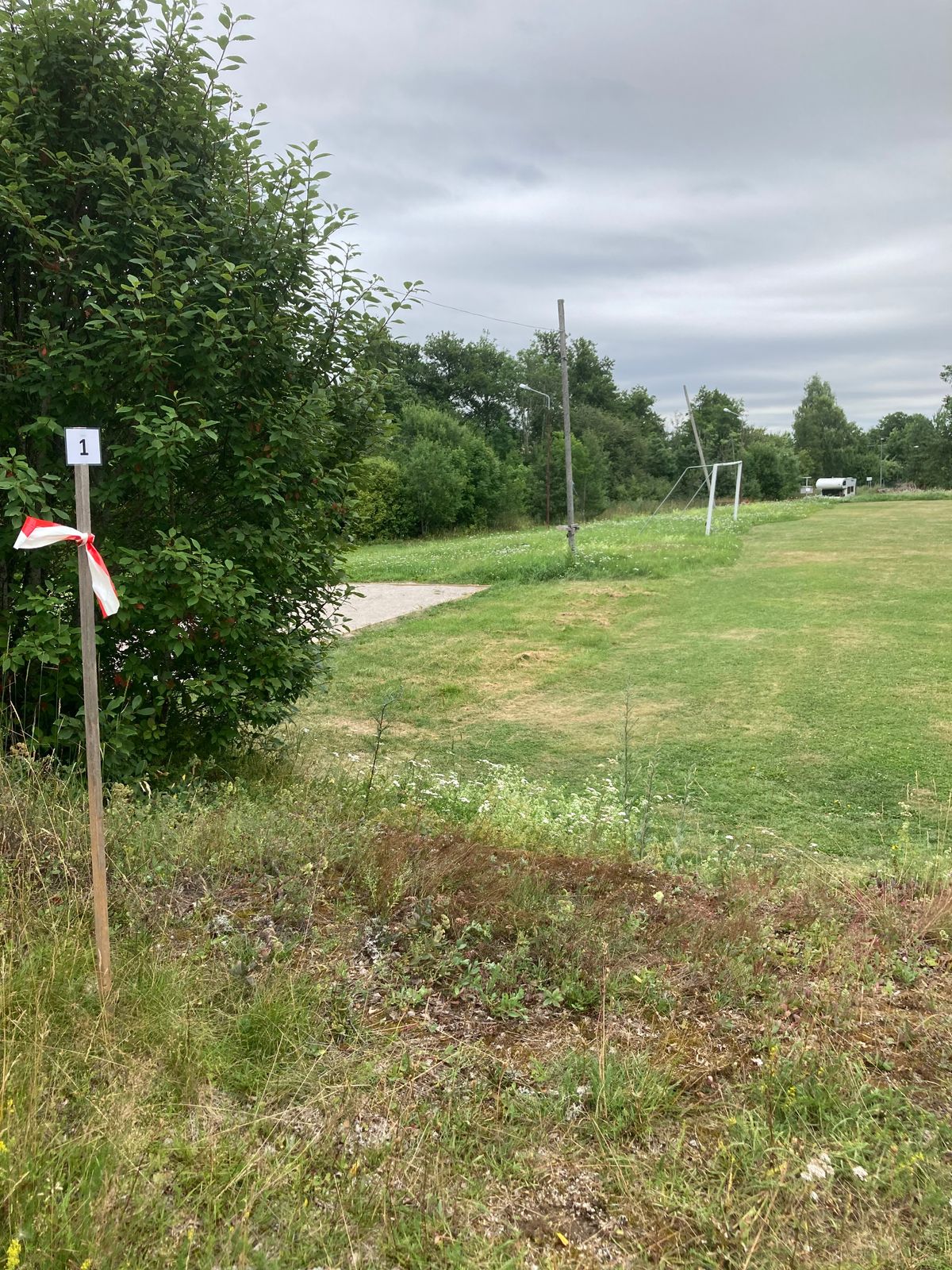 Tee 1