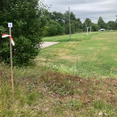 Tee 1