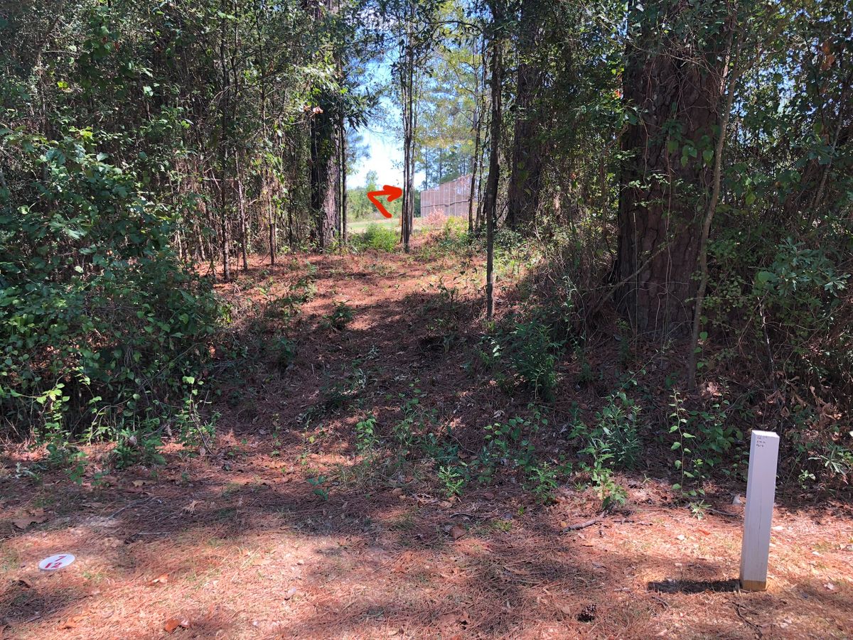 Hole 12 gap.  Land fisrt shot past the tennis court fence then another shot 250’ right.