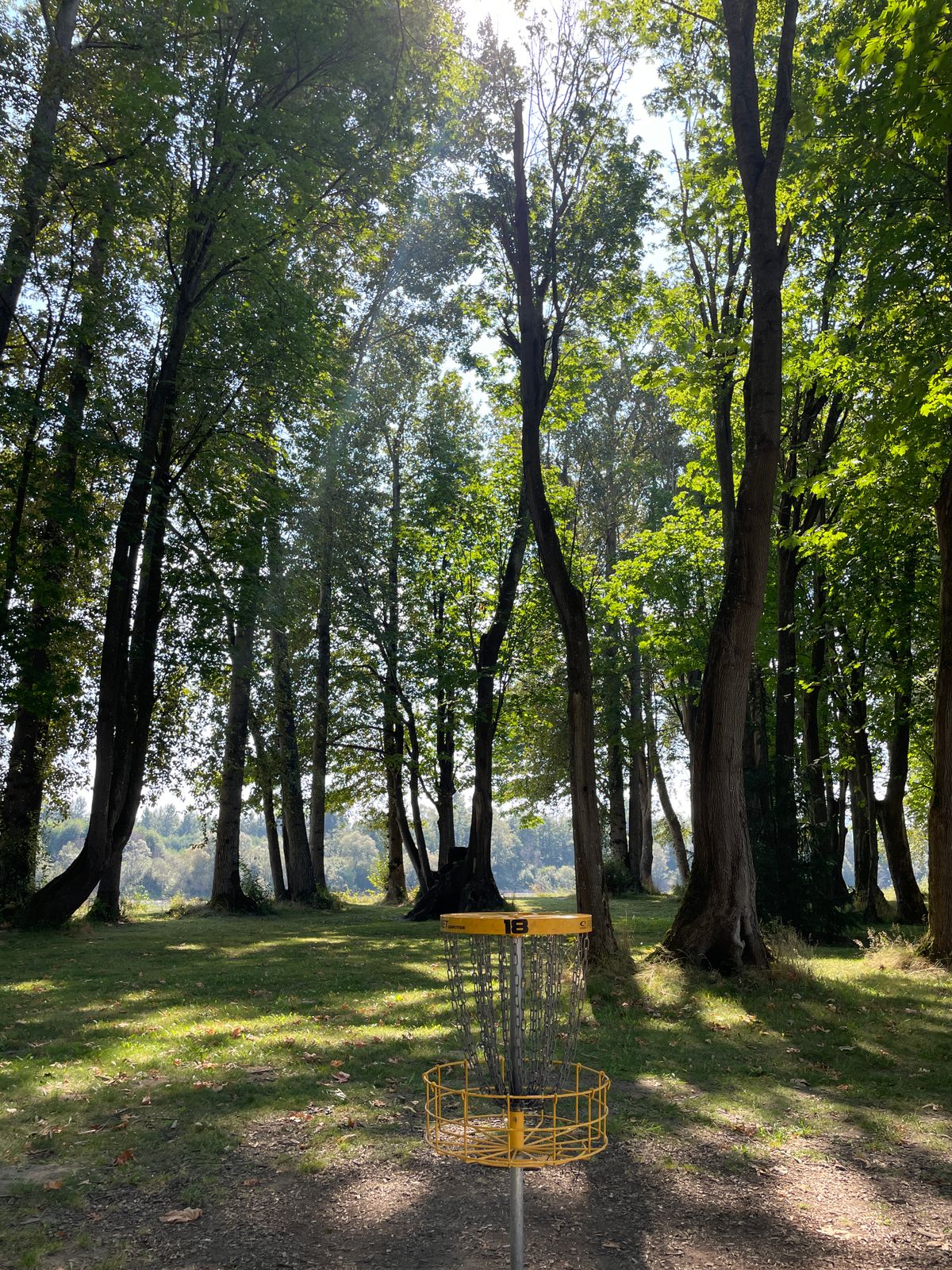 Canopy surrounding the Hole 18 Basket