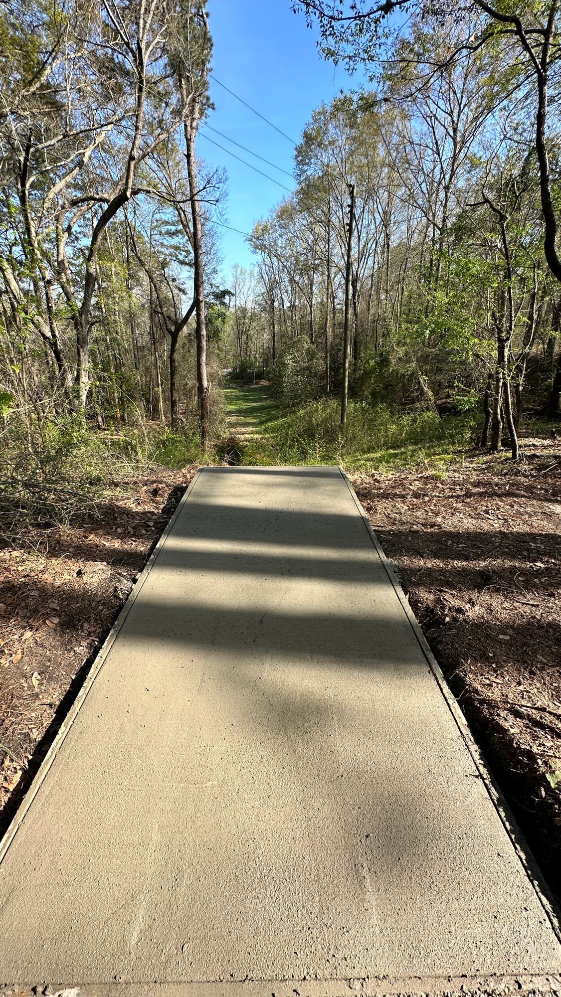Hole 5 short