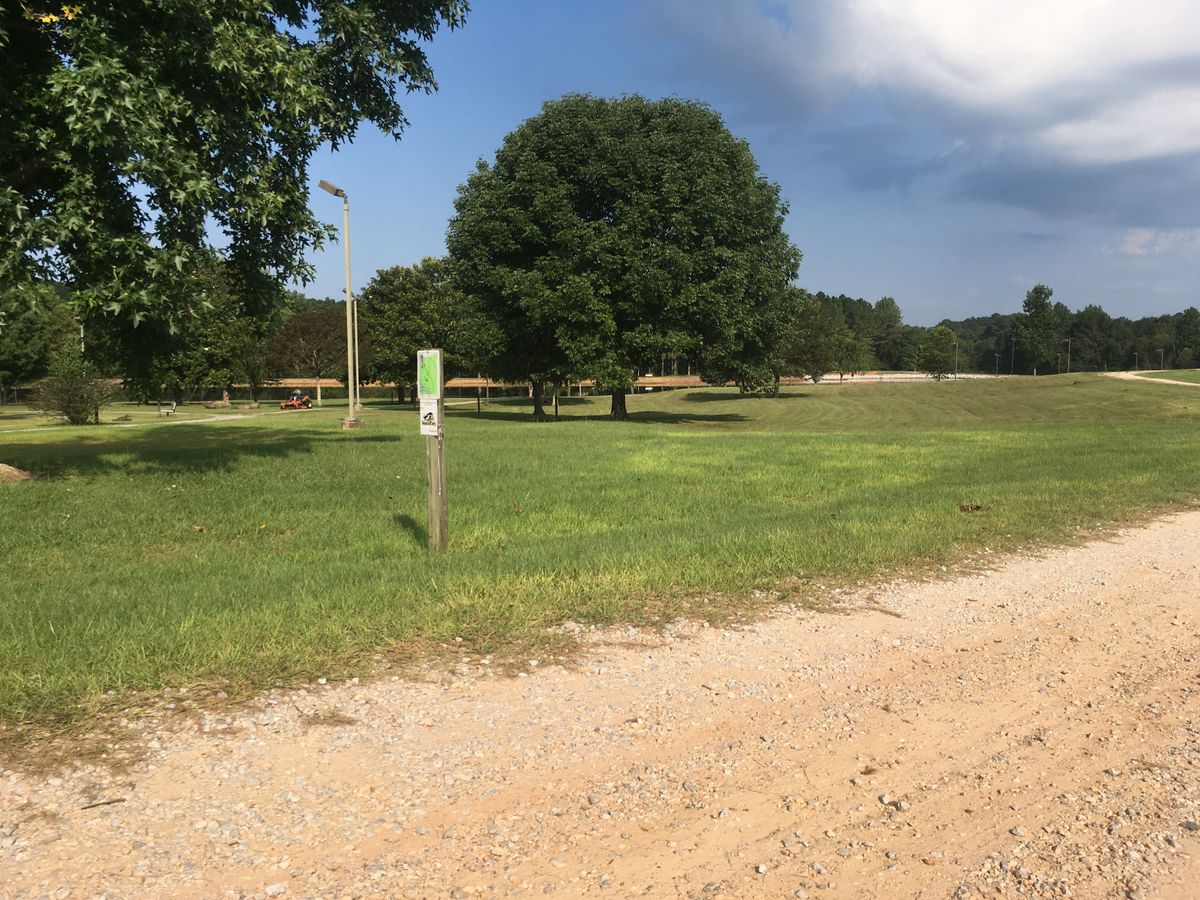 Hole 8 tee