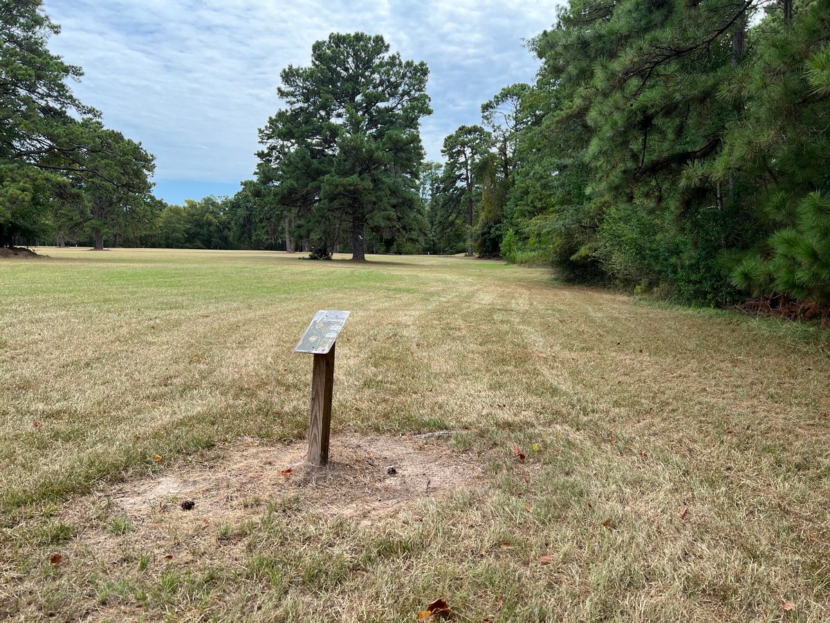 Hole 7 tee