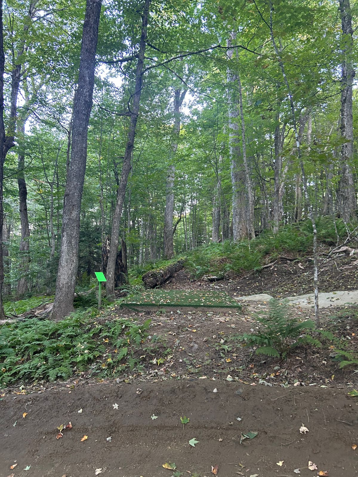 Hole 11 tee