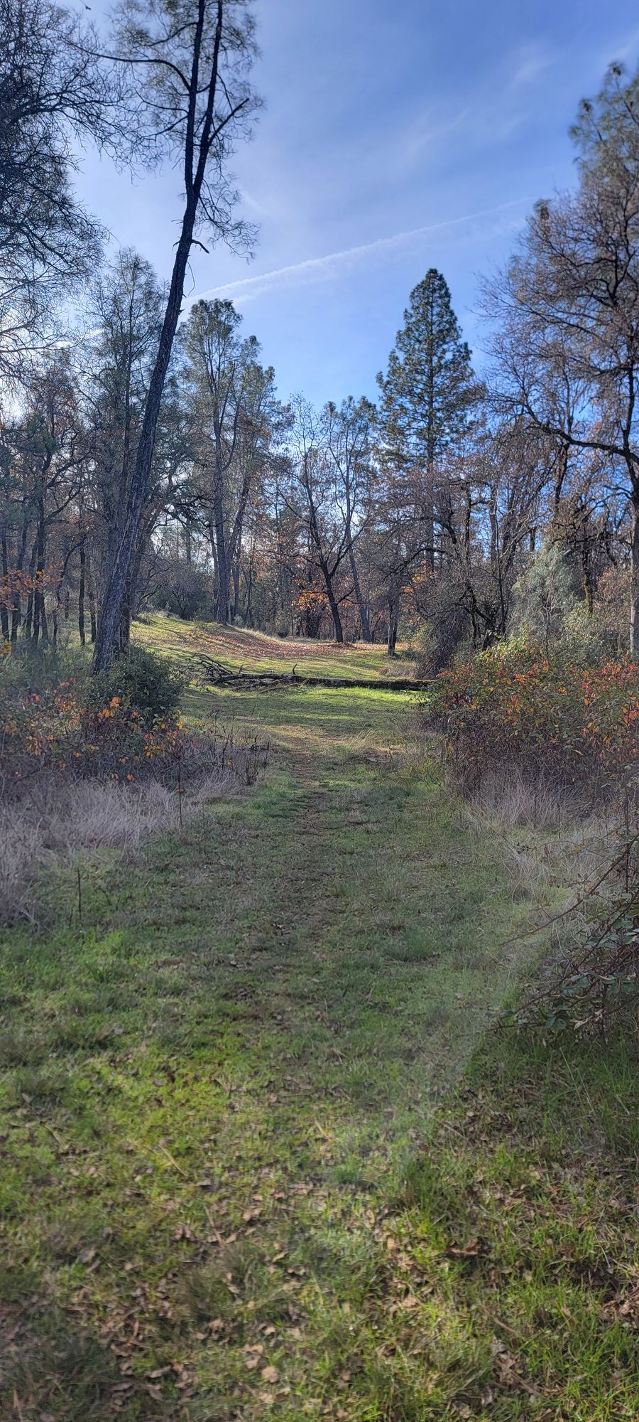 Hole 21 fairway