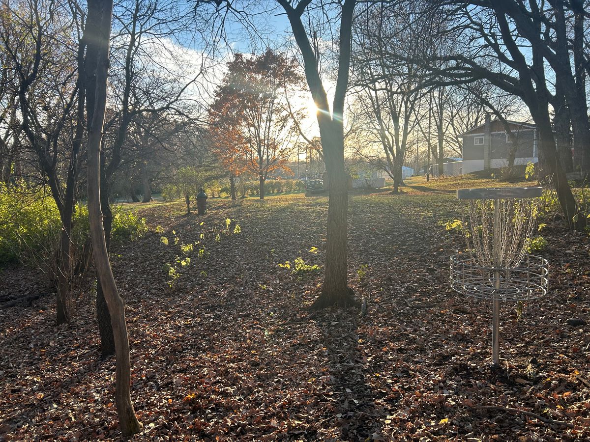 Hole 8 basket