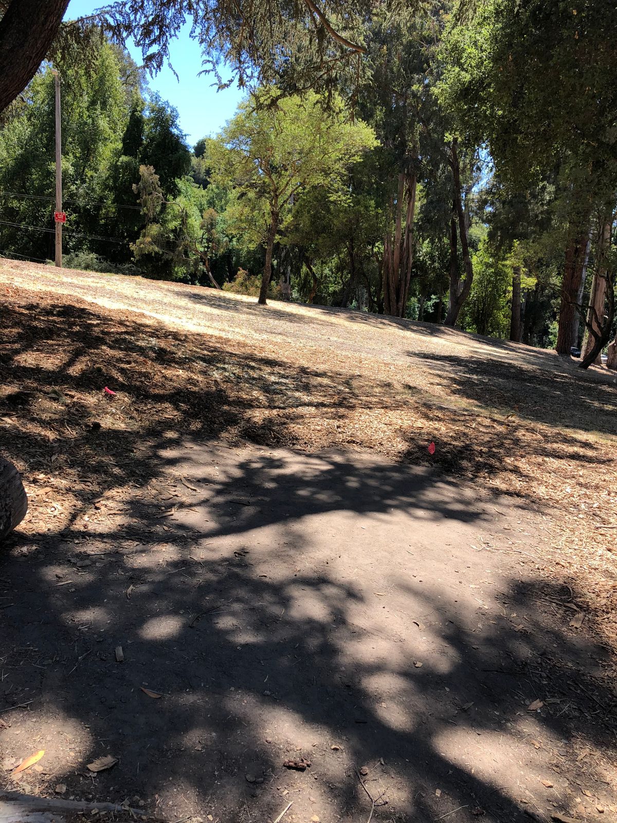 Tee Box at #2