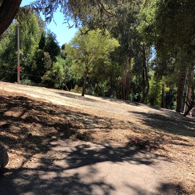 Tee Box at #2