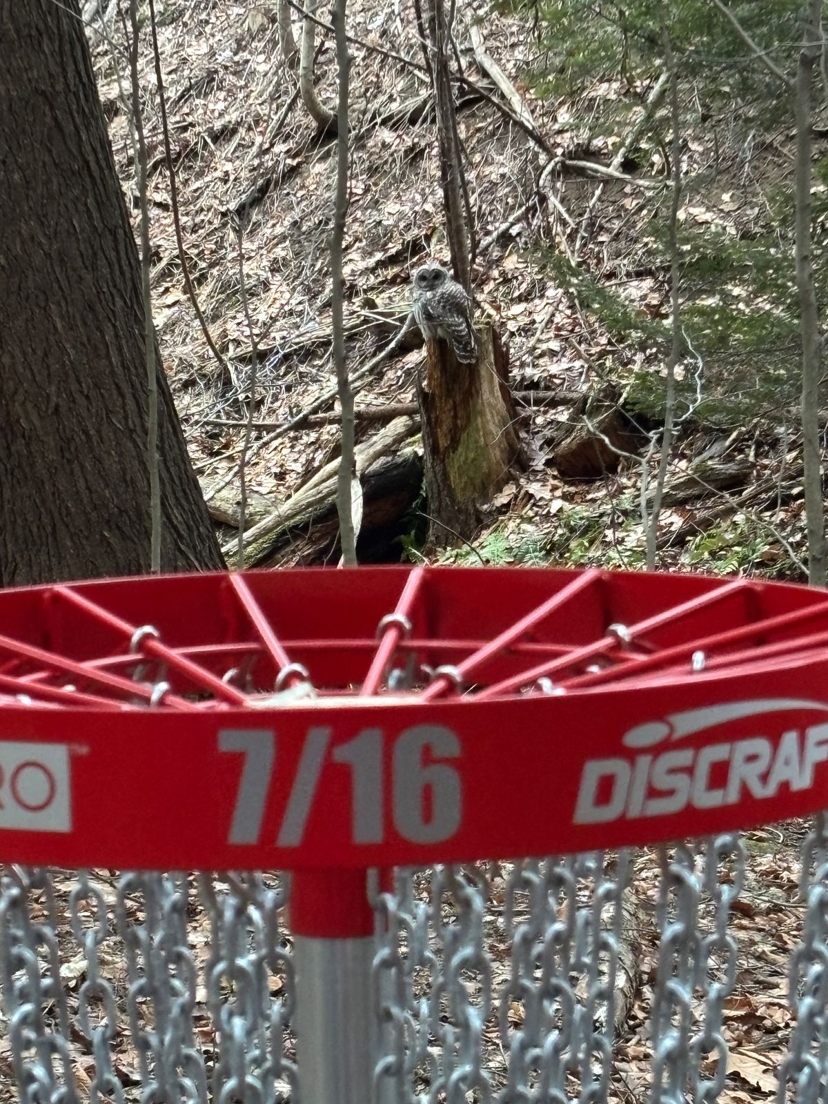 Say hi to Steve when you see him next