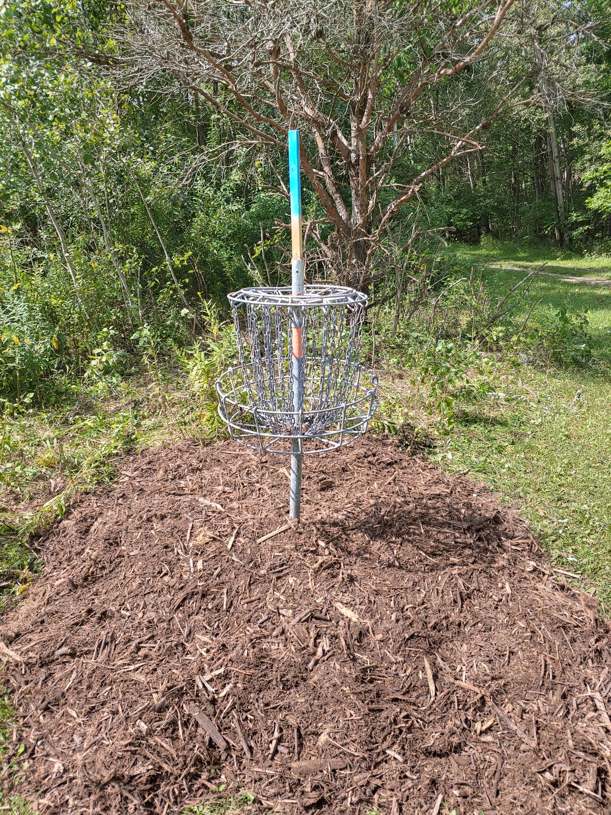 basket at hole 10.