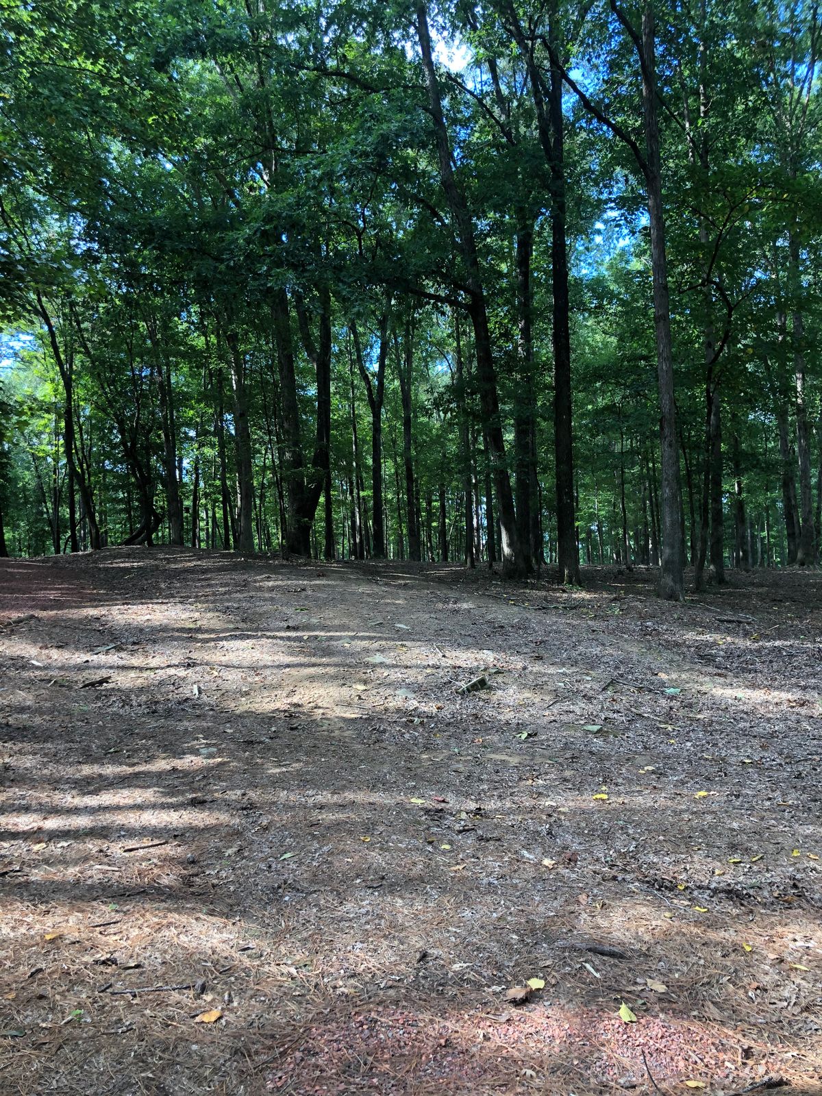 Hole 11