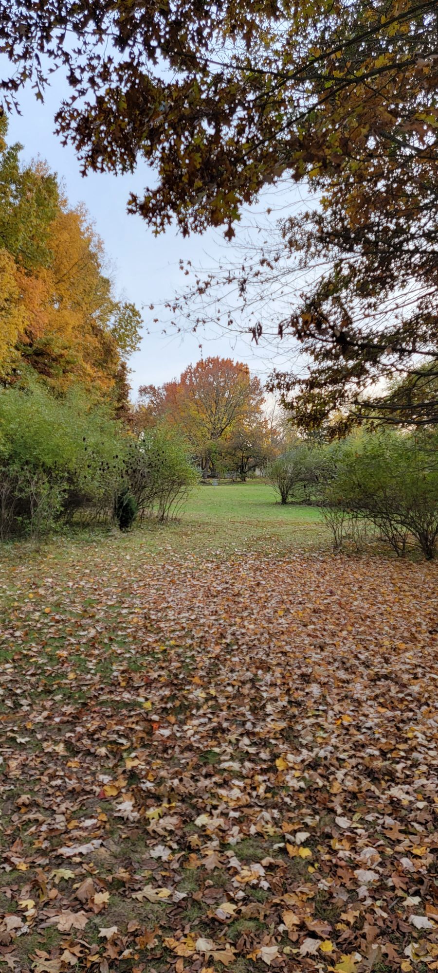 Hole 6