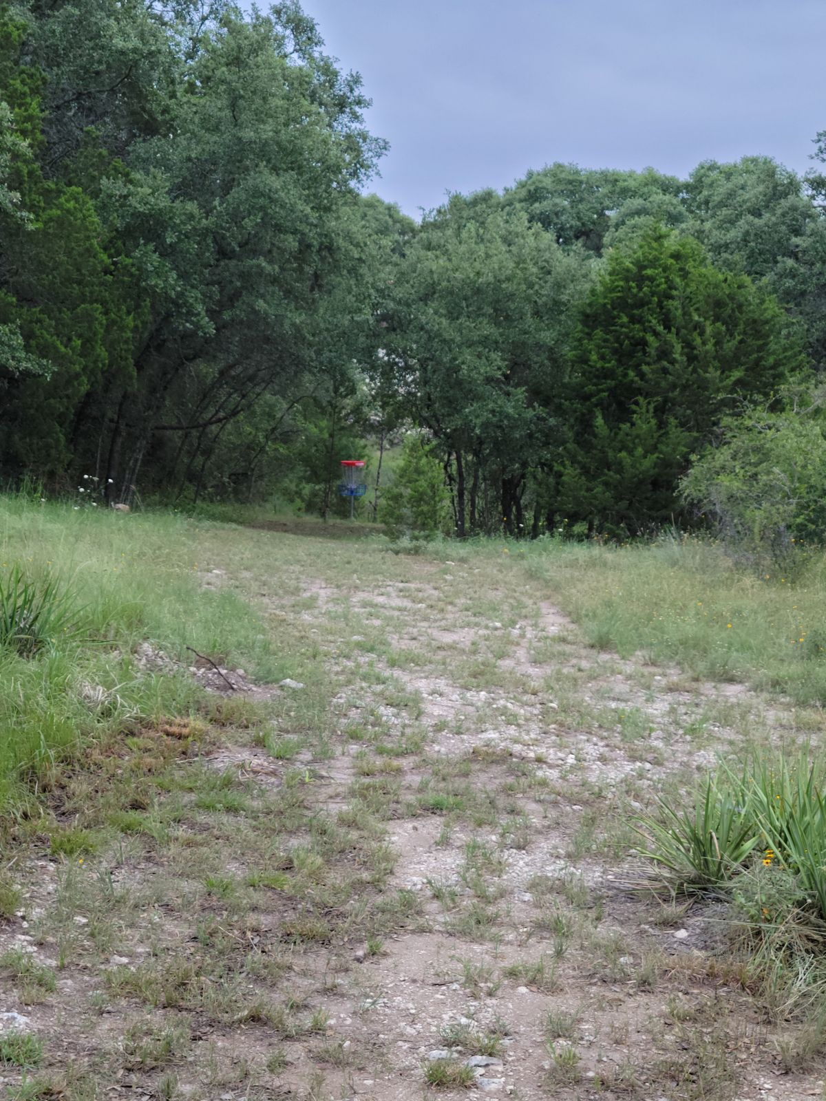 Fairly narrow fairways with high brush.