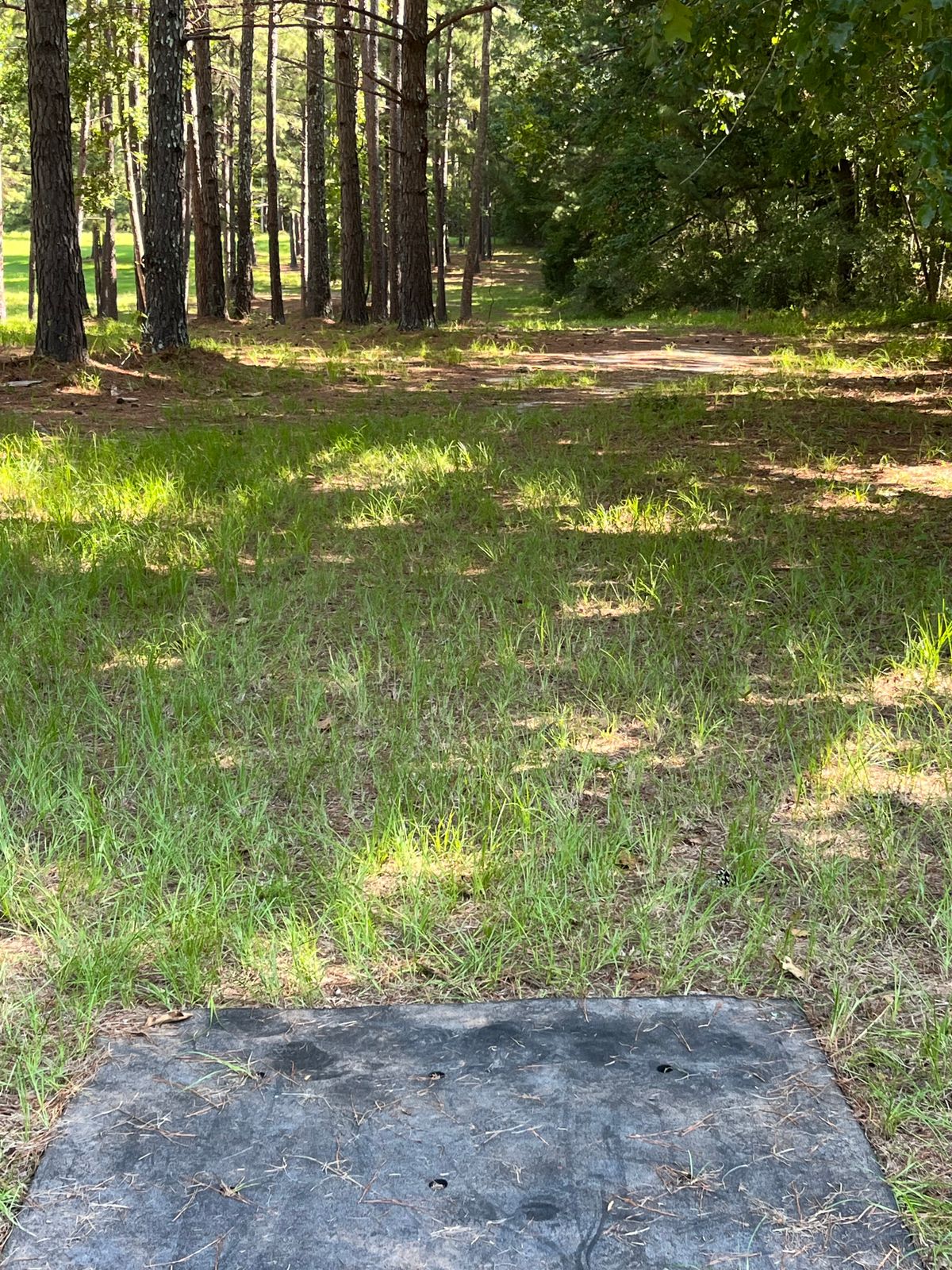 Hole 6 tee box