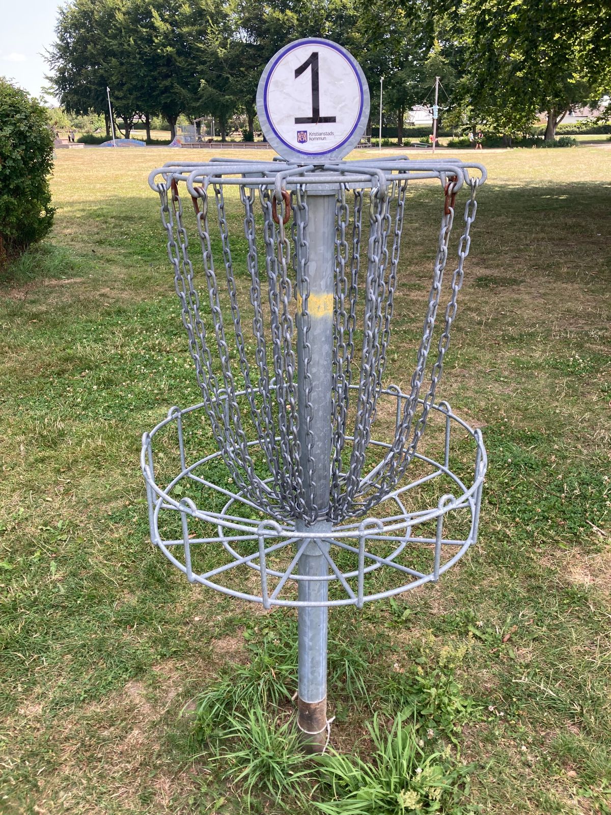 Old baskets, catches decent