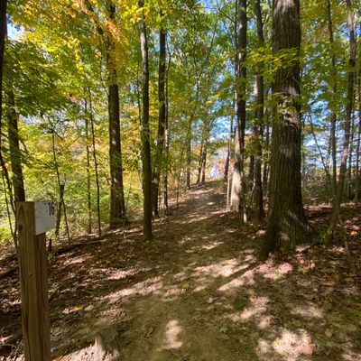 Long look at hole 16, basket nestled in the trees