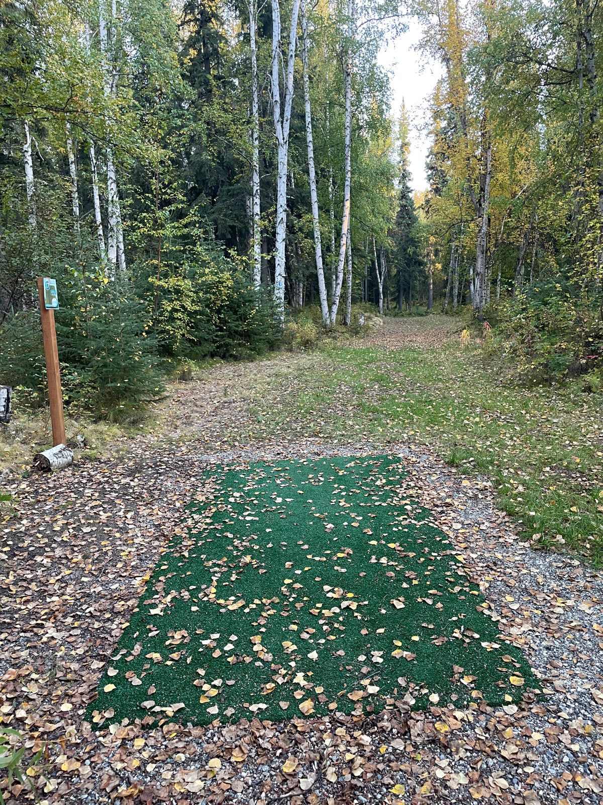 Hole 15 Tee Pad