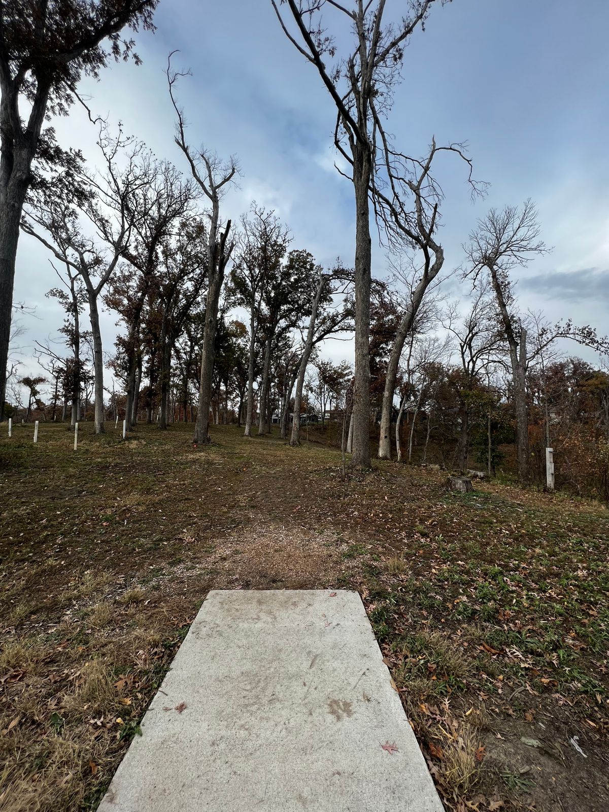 Hole 15 Red