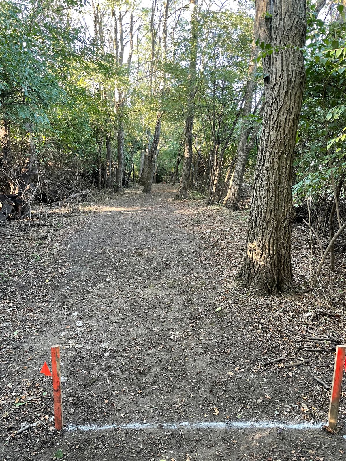 Hole 16 tee