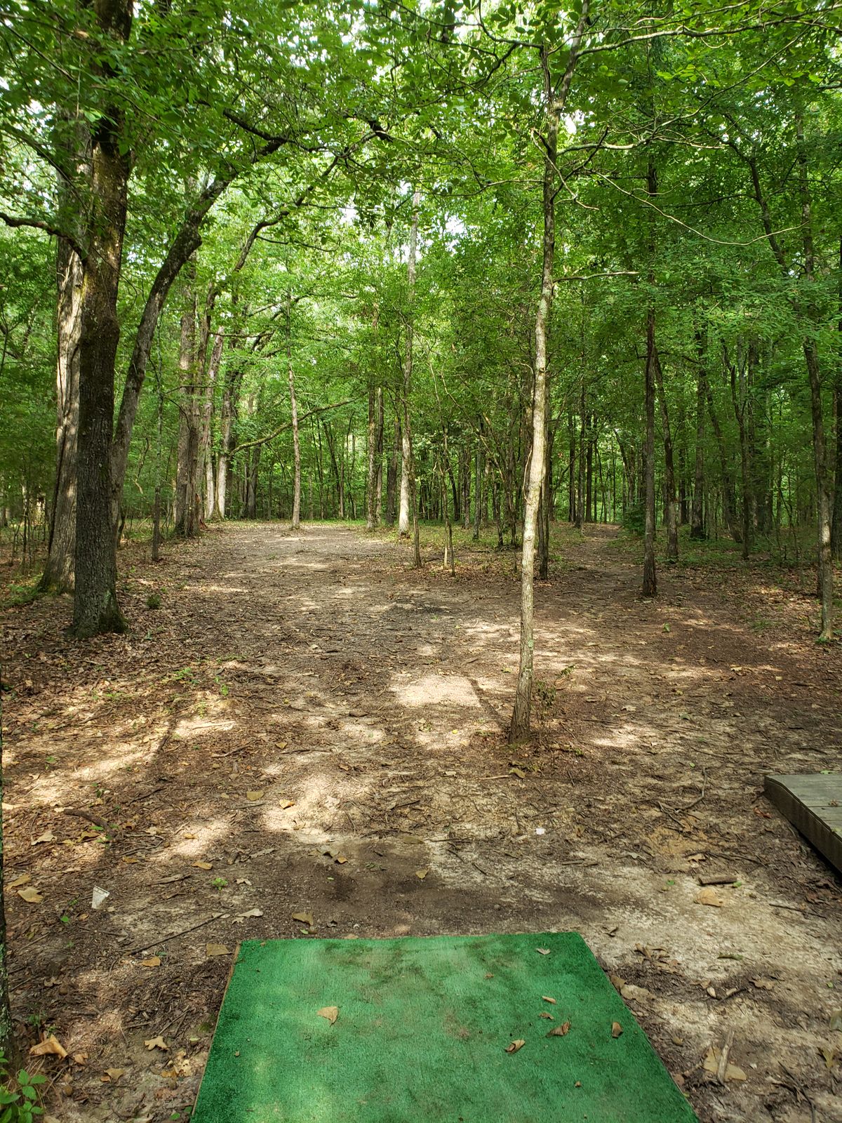 #6 Red Tee-Pad and Fairway
