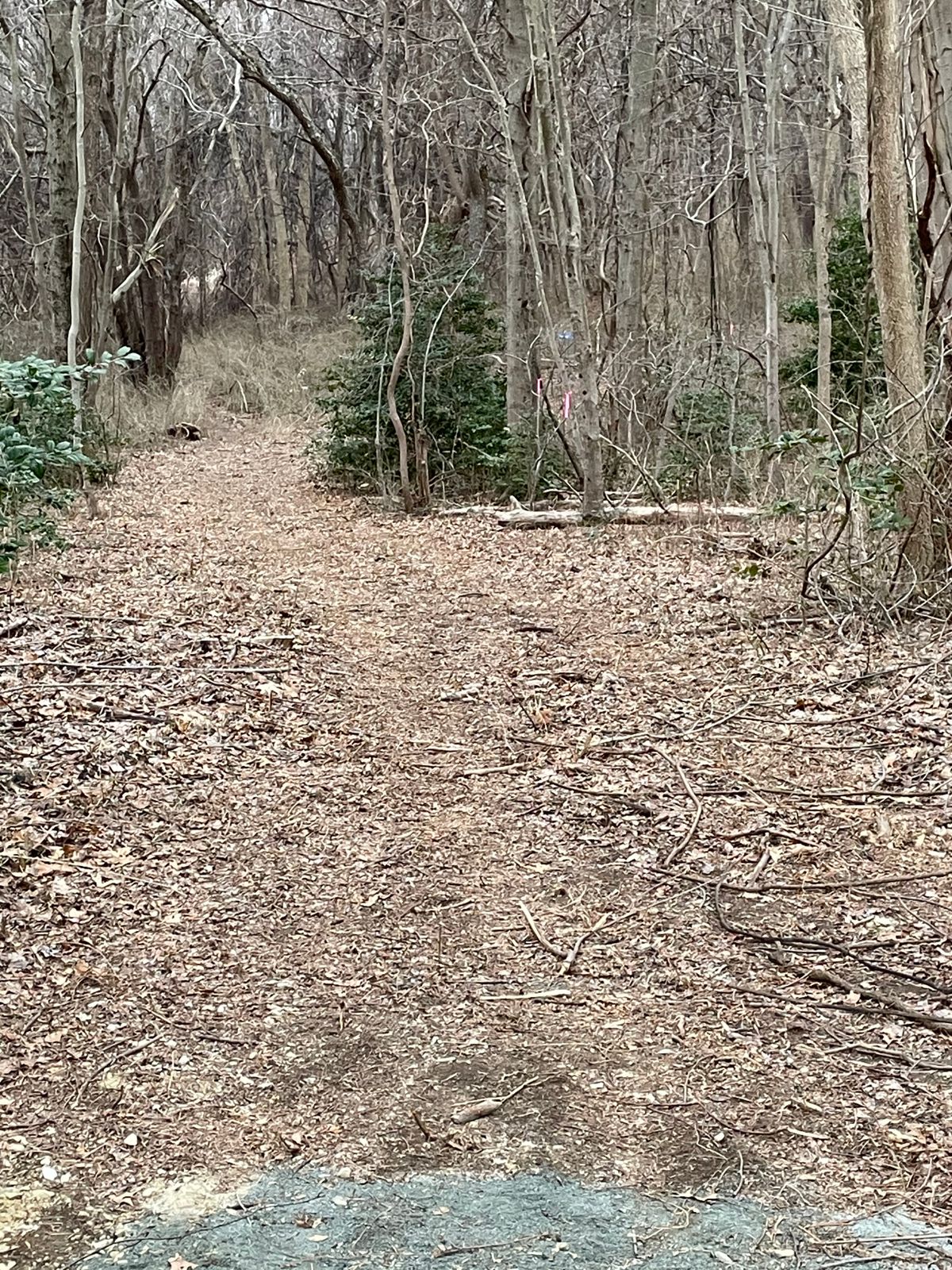 Hole 9
