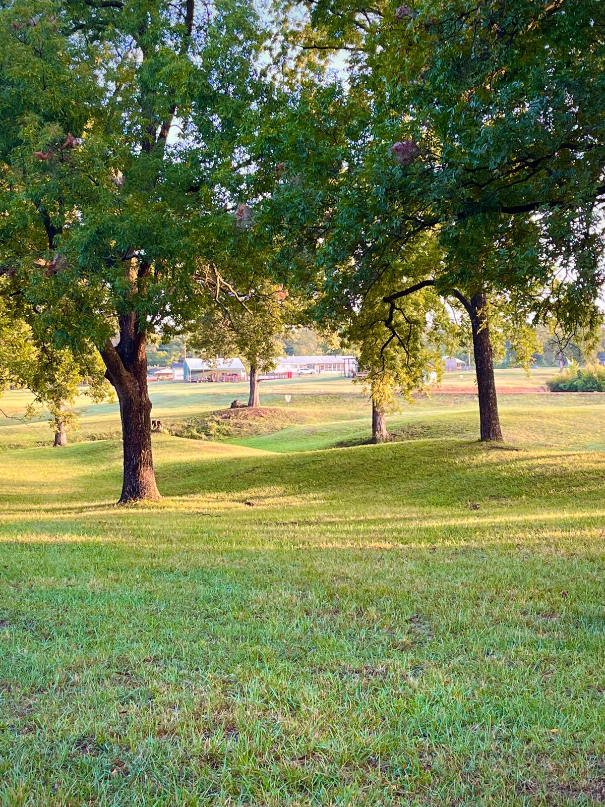 Hole 5 fairway and basket