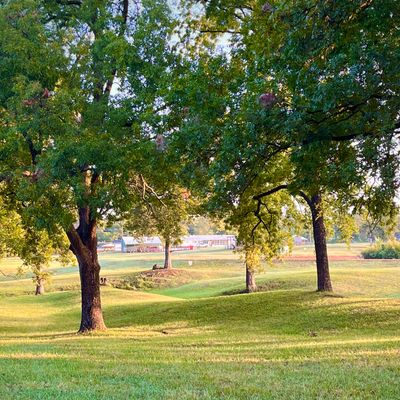 Hole 5 fairway and basket