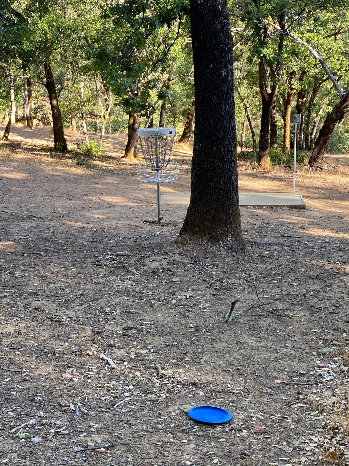 The home run hole